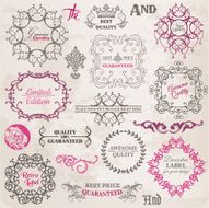 vector set calligraphic design elements and page decoration N5