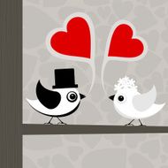 bird of love N5