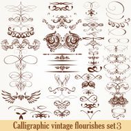 Collection of vector calligraphic decorative flourishes in vinta