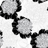 Monochrome floral pattern with peonies on a white background