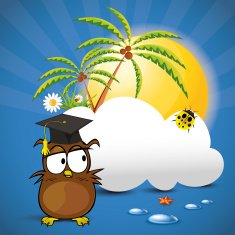 owl N90