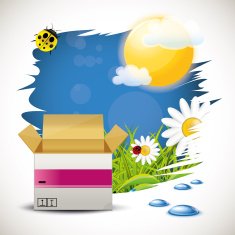Package N6