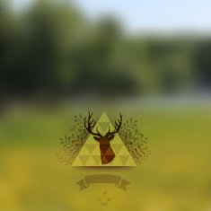 Vector landscape nature web and mobile template Corporate webs N3