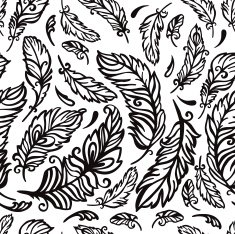 Black and white pattern with feathers N2