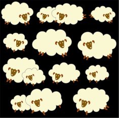 pretty sheep N12