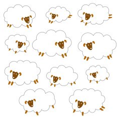 pretty sheep N14