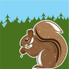 squirrel N33