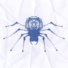 Spider blot on crumpled paper