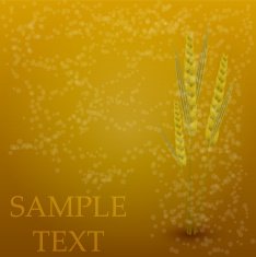 Vector wheat creative background N2