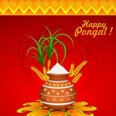 Happy Pongal N5