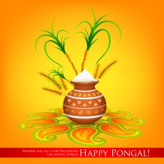 Happy Pongal N15
