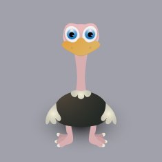 Cute baby ostrich