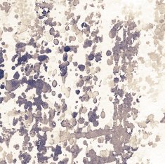 grunge texture N53