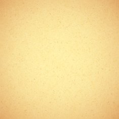 Vintage Paper Texture N12