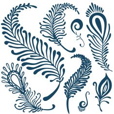 decorative feathers set N2