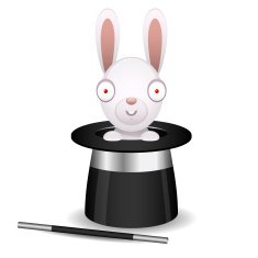 Rabbit sits in hat of conjurer N2