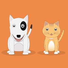 Cat and Dog N20