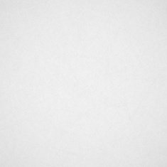 Vintage Paper Texture N13