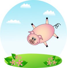 Flying Pig N7