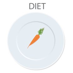 diet icon vector illustration N2