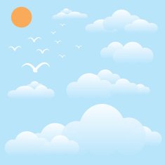 bird at sky sun and cloud