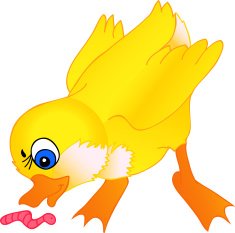 little duckling cartoon isolation on a white background
