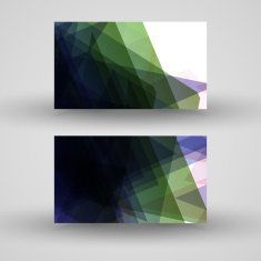Vector business-card set for your design N567