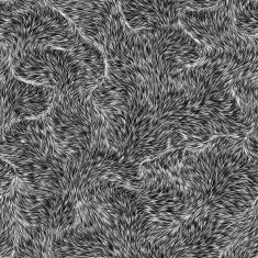 bstract fur background N2