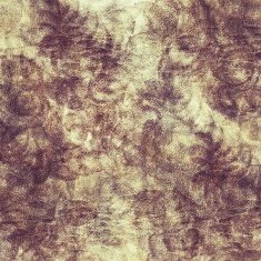 Grunge Background N1250