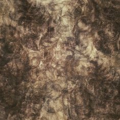 Grunge Background N1251