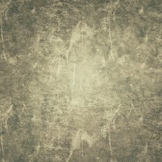 Grunge Background N1267