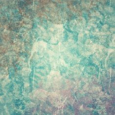 Grunge Background N1270