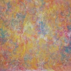 Grunge Background N1291