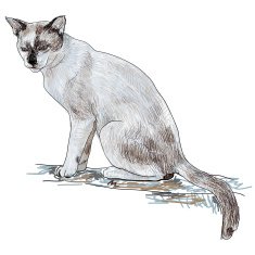 Cat N104