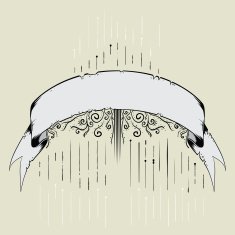 Ornamental vintage banner N2
