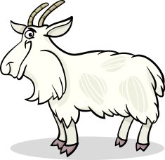 goat farm animal cartoon illustration N2