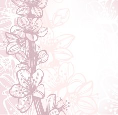 Cherry blossoms background with hand drawn elements