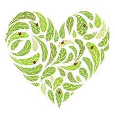 Leaf heart shape with ladybugs