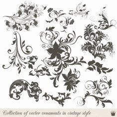 Set of vector calligraphic elements and page decorations N3