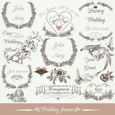 Vector set of calligraphic elements for design Calligraphic vec