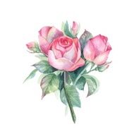 Roses Small bouquet Watercolor illustration