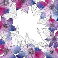 Vector frame with beautiful clematis flowers N2