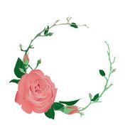 Blooming and budding pink rose flowers wreath N2