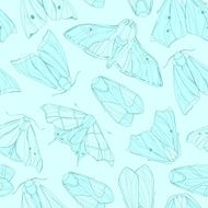 moth pattern