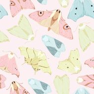 moth pattern N2