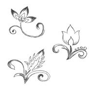 Sketch flowers decor ornament