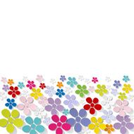 Bouquet of colorful flowers banner on white background N2