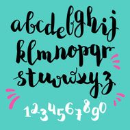 brushpen style vector alphabet calligraphy N2