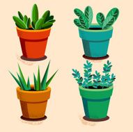 Vector set of succulents plants in different pots