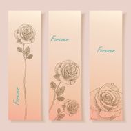 Set of three banners Beautiful rose N2